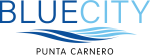 bluecity logo color
